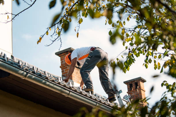 Best Roof Gutter Cleaning  in Forney, TX