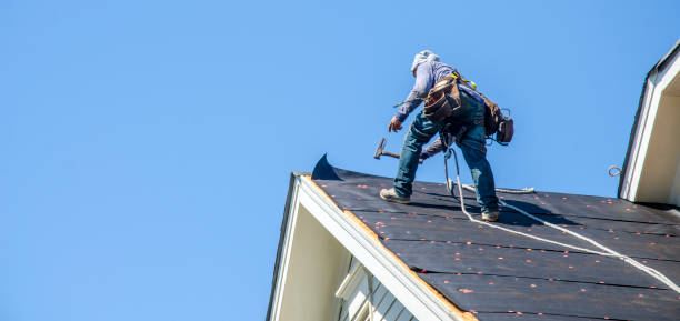 Professional Roofing Contractor in Forney, TX